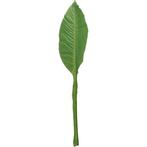 Groene Musa/bananenplant blad kunsttak kunstplant  74 cm -..