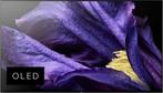 Sony KD-55AF9 - 55 Inch 4K Ultra HD OLED 100 Hz Smart Tv, Ophalen, LED, Zo goed als nieuw, 100 Hz
