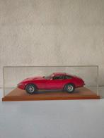 Carlo Brianza 1:14 - Model sportwagen -Ferrari 365 GTB/4, Nieuw