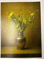 Tessa Posthuma de Boer - Yellows