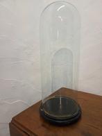 Globe - stolp - antiek - 1901-1920 - Antieke ronde stolp op, Antiek en Kunst