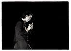 Roberto Cavalli (1971) - Nick Cave, & The Bad Seeds, Into My