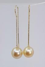 10x11mm Golden South Sea Pearls - Oorbellen Geel goud
