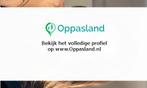 Ik ben Maud, 21 jaar oud en ik zoek oppaswerk in Bergsche...