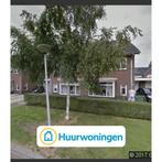 Te huur: Appartement Parnassia in Meppel, Meppel, Appartement, Drenthe