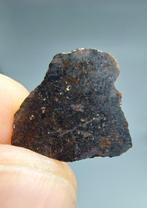 Meteoriet Plutonisch Angriet, Rafsa 007. Zeer zeldzaam, geen, Verzamelen, Mineralen en Fossielen