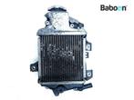 Radiateur Honda PCX 150 2012-2013 (PCX 150 JF28/KF12/KF15), Verzenden, Gebruikt