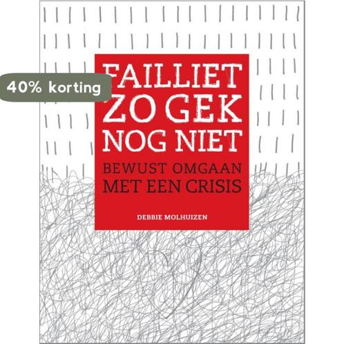 Failliet zo gek nog niet 9789082203264 Debbie Molhuizen, Boeken, Economie, Management en Marketing, Zo goed als nieuw, Verzenden