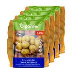 Pootaardappelen Frieslander A 28/35 (20kg), Verzenden, Gehele jaar, Volle zon