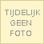 Lelie in zilver | 9789060116456 | Stoter, Zo goed als nieuw, Stoter