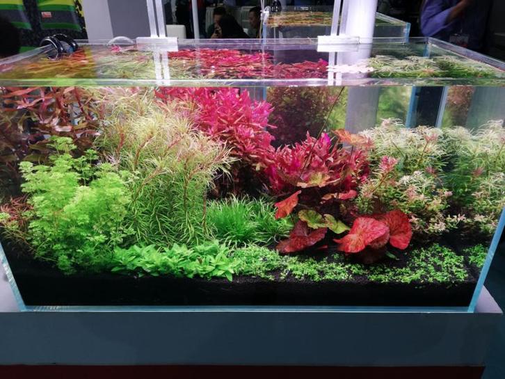 Osaka compleet CO2 systeem tot 400 liter incl. magneetventie, Dieren en Toebehoren, Vissen | Aquaria en Toebehoren, Filter of Co2