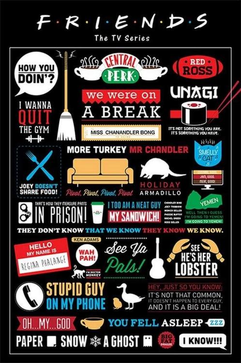 Poster Friends Infographic 61x91,5cm, Verzamelen, Posters, Nieuw, A1 t/m A3, Verzenden