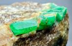 Smaragd Kristallen op matrix - Hoogte: 52 mm - Breedte: 48, Verzamelen, Mineralen en Fossielen