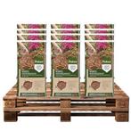 Kokosvezels pallet | 1150 L | Pokon (Natuurlijk), Verzenden