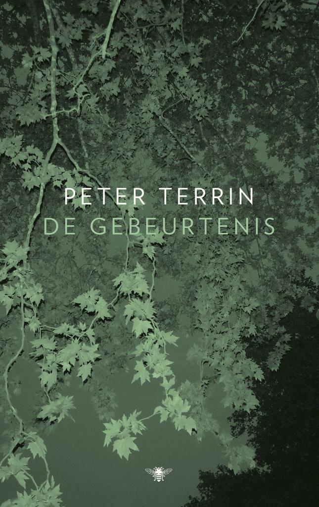 De gebeurtenis (9789403181813, Peter Terrin), Boeken, Romans, Nieuw, Verzenden