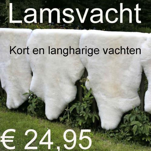 Lamsvacht Lamsvel 100% echt Schapenvacht € 24,95 100% ECHT, Huis en Inrichting, Woonaccessoires | Overige, Nieuw, Ophalen of Verzenden