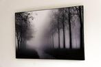 Rouzbeh Tahmassian - In the mist - No reserve price, Antiek en Kunst