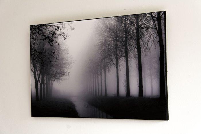 Rouzbeh Tahmassian - In the mist - No reserve price, Antiek en Kunst, Kunst | Designobjecten