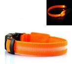 LED Halsband ORANJE, Dieren en Toebehoren, Ophalen of Verzenden, Nieuw