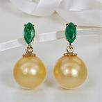 Zonder minimumprijs - Oorbellen - 14 karaat Geel goud, Sieraden, Tassen en Uiterlijk, Oorbellen, Nieuw