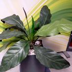 Anthurium kunstplant in metalen bak - 115 cm hoog, Ophalen of Verzenden, Nieuw