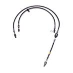 Chase Bays 99-06 BMW 3-Series E46 (w/GM LS Engine & T56), Ophalen of Verzenden, Nieuw