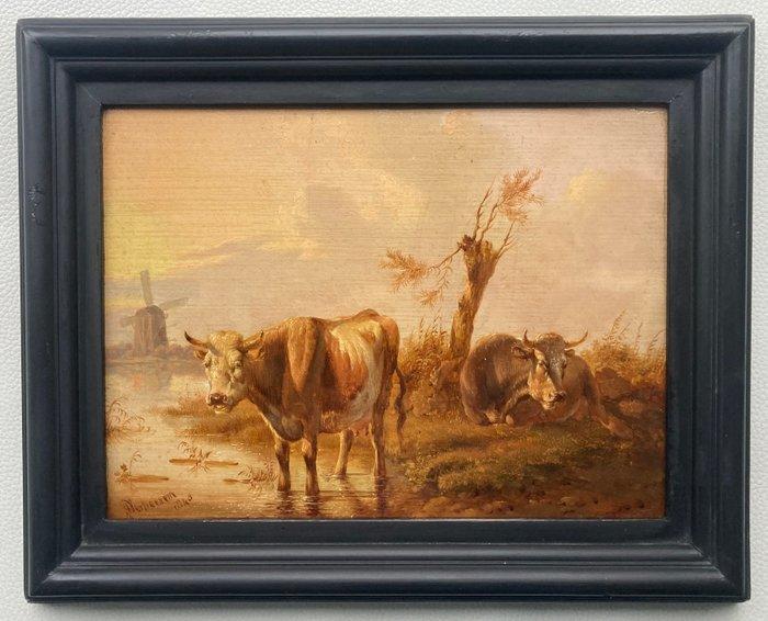 Albertus Verhoesen (1806-1881) - Landschap met koeien, Antiek en Kunst, Kunst | Schilderijen | Klassiek