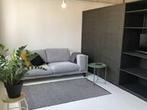 Studio Professor Pieter Willemsstraat in Maastricht, Overige soorten, Limburg