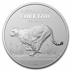 Australia Zoo - Cheetah (RAM) 1 oz 2021 (25.000 oplage), Verzenden, Losse munt, Zilver