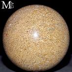 Uitgehouwen dinosauruss agatiseerde botten - Fossiel bot -