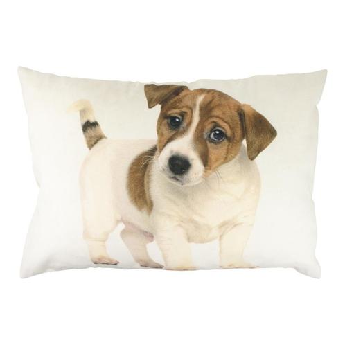 canvas kussen pup jack russel 35x50cm, Huis en Inrichting, Woonaccessoires | Overige, Verzenden