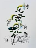 Salvador Dali (1904-1989) - Le Lys Musical