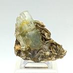 Aqua marina met gesilverd muscoviet, uitstekende kristallen, Verzamelen, Mineralen en Fossielen