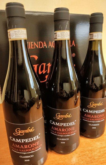 2019 Amarone riserva campedel Gamba - Valpolicella DOCG -, Verzamelen, Wijnen