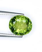 Zonder Minimumprijs - 1 pcs Geel, Groen Apatiet - 4.20 ct -, Sieraden, Tassen en Uiterlijk, Edelstenen, Nieuw