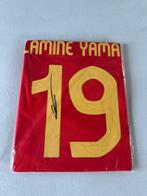 Spain National Team - Voetbal Europees kampioenschap -, Nieuw