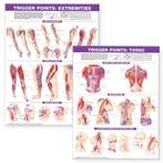 Trigger Point Chart Set: Torso & Extremities  Lam, Boeken, Verzenden, Nieuw