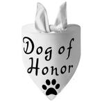 Honden ballonnen set labrador 3-delig, Dieren en Toebehoren, Verzenden, Nieuw