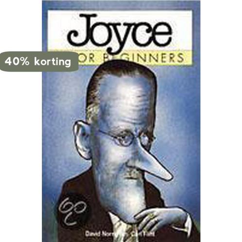 JAMES JOYCE VOOR BEGINNERS 9789038907901 D. Norris, Boeken, Studieboeken en Cursussen, Gelezen, Verzenden