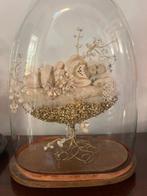 Verfijnde devoot beeldhouwwerk - Maria Bambina met teca van