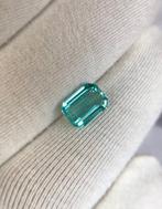 1 pcs Smaragd - 2.41 ct - International Gemological, Nieuw