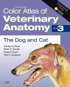Color Atlas Vet Anatomy Vol 3 Dog  Cat 9780723434153, Boeken, Zo goed als nieuw, Verzenden
