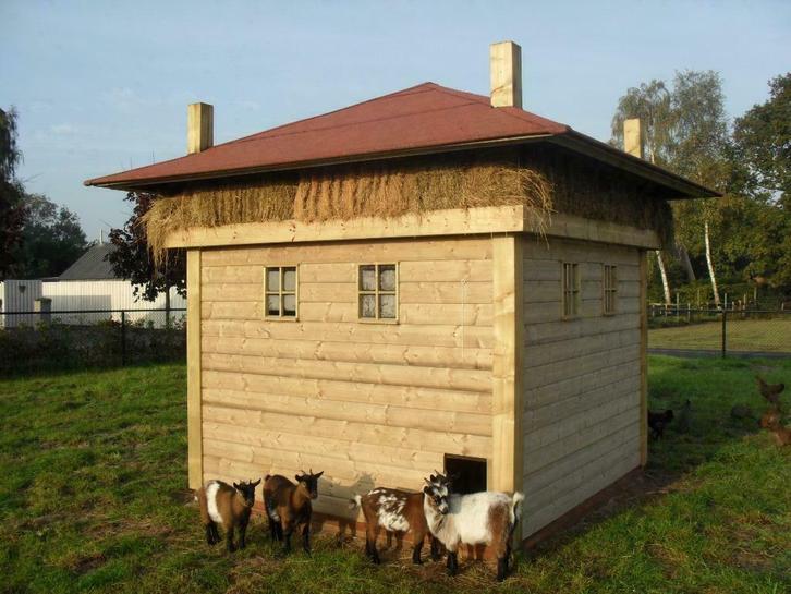 hooiberg geitenhok schapenhok varkenhok nachthok schaapskooi, Dieren en Toebehoren, Schapen, Geiten en Varkens, Geit, Geslacht onbekend
