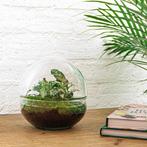 DIY terrarium - Dome -  20 cm, Huis en Inrichting, Kamerplanten, Verzenden