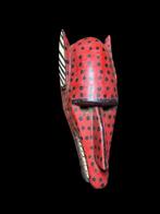 hyena - Bozo - Mali (Zonder minimumprijs)