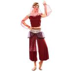 Arabische 1001 nacht danseres kostuum, Kleding | Dames, Ophalen of Verzenden, Nieuw