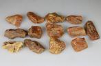 Ruwe keien Baltisch amber 153 g - Amber - China - 20e eeuw