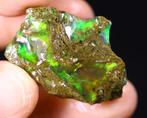 MUSEUMKWALITEIT - Ruwe Kristal Welo Opal Bosverbinding -, Verzamelen, Mineralen en Fossielen