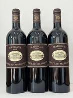 2019 Chateau Margaux, Margaux Du Chateau Margaux - Bordeaux, Verzamelen, Wijnen, Nieuw