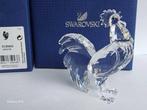 Swarovski - Beeldje - Hahn 5135943 mit Box 2016 - Kristal, Antiek en Kunst